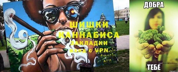 молекула духа Магас
