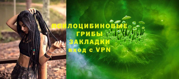 молекула духа Магас