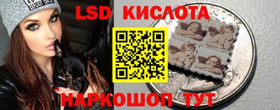 мяу мяу мука Камышлов