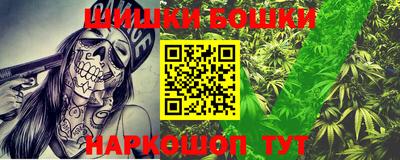 тгк Канаш