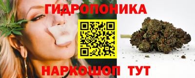 гашик Кандалакша