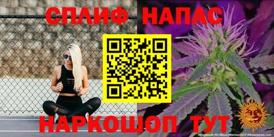 гашик Кандалакша