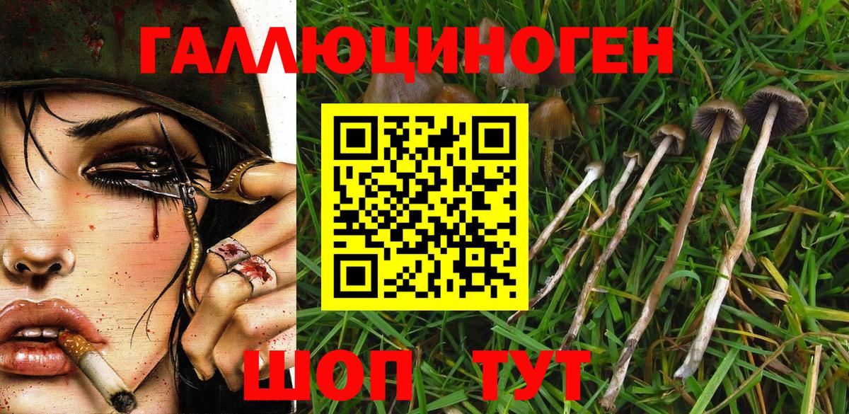 Псилоцибиновые грибы MAGIC MUSHROOMS Нефтекамск